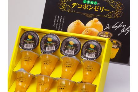 B13-12 くまもとのデコポンゼリー（12個入）