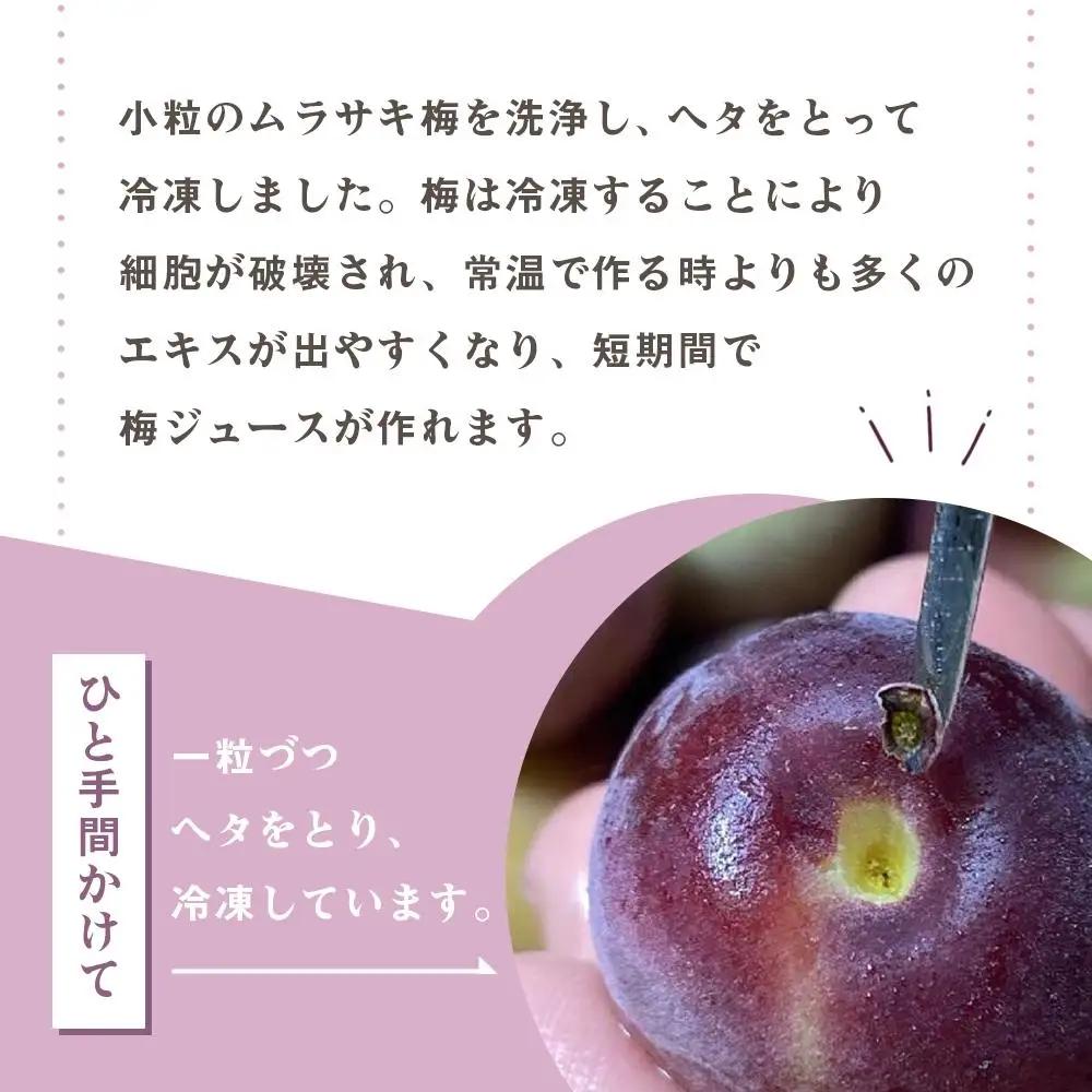 ［数量限定］綺麗な紫色のジュースができます！紀州特産 冷凍紫梅 2kg