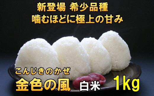 新登場の高級米 令和7年産 岩手県奥州市産 金色の風 白米1kg 【7日以内発送】 おこめ ごはん ブランド米 [AC024]