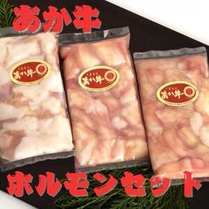 熊本県産　あか牛 牛小腸　ホルモンセット600g(200g×3パック)(益城町)【配送不可地域：離島】【1553539】