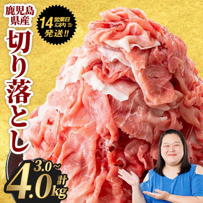鹿児島県曽於市産の豚肉！曽於ポーク切り落とし3.2kg(400g×8パック)セット！豚肉切り落とし肉