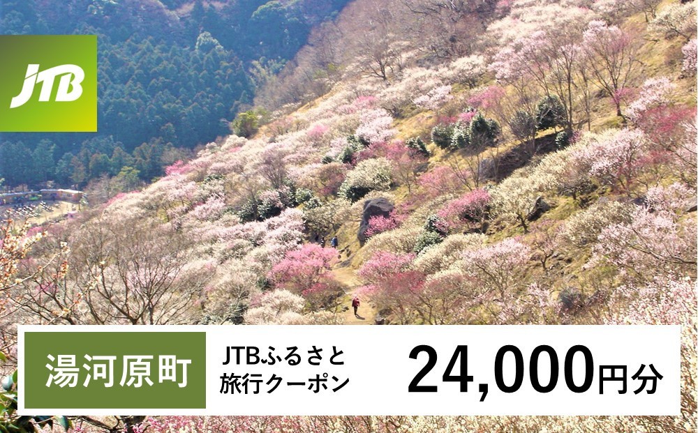 
                  【チョイス限定】【湯河原町】JTBふるさと旅行クーポン（24,000円分）有効期間3年（Eメール発行）｜旅行 トラベル 予約 国内旅行 JTB 宿泊 観光 体験 旅行券 宿泊券 旅行予約 温泉 ホテル 旅館 チケット 子供 子連れ カップル 家族 人気 おすすめ 旅行クーポン 店頭 オンライン ネット予約 電話 有効期間3年
                