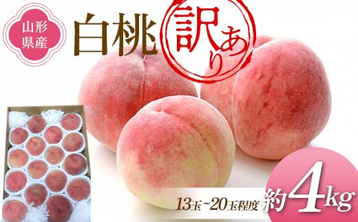 《先行予約 2026年度発送》訳あり 白桃 4kg（13～20玉程度） ご家庭用  もも モモ 桃 デザート フルーツ 果物 くだもの 果実 食品 山形県 FSY-2468