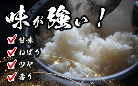 ＼2025年11月発送分／ コシヒカリ 白米 10kg 米 お米 ご飯 愛西市 / 脇野コンバイン こしひかりお米 こめ 精米 [AECP022-3]