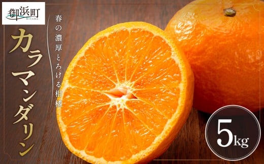 【2026年発送 先行予約品】濃厚とろ旨！ミカファームのカラマンダリン5キロ【数量限定 果物 フルーツ みかん オレンジ カラマンダリン デザート 5kg 三重県 御浜町】