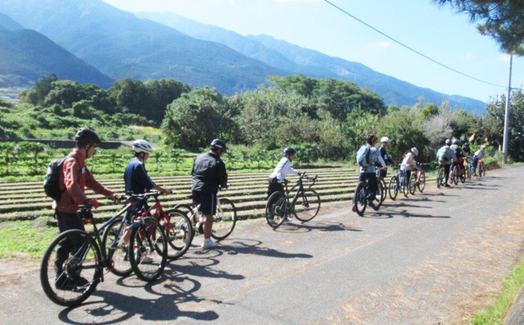 
            【返礼品なし】土居高校 魅Can部（地域デザイン部、陸上競技部）への応援寄附 （963）
          