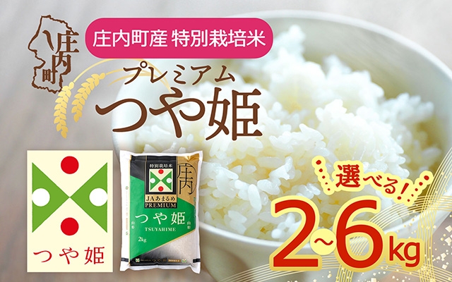 
                  【令和8年産】JAあまるめ プレミアム つや姫  2kgから6kg 選べる内容量 特別栽培米 2026年産 庄内町産 余目産 余目町農協 あまるめ ブランド米 米 国産 単一原料米 山形 庄内平野 庄内 
                