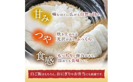 先行予約 葛城山麓米 ヒノヒカリ（白米）計5kg [ 5kg×1袋 ] 令和7年産 【2025年10月下旬～順次発送】／ スマイル葛城農業 精米 ごはん お米 米 おいしい ふっくら 農家直送 奈良県