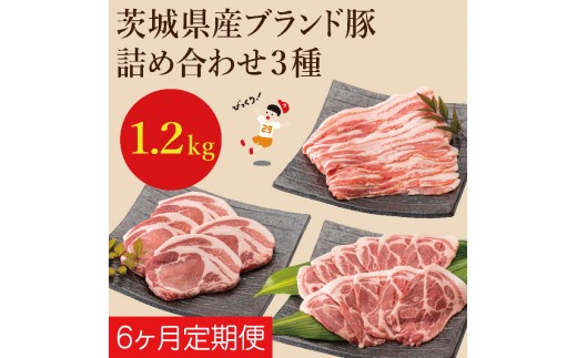 EC-7【先行予約】【６か月定期便】茨城県産ブランド豚肉詰め合わせ7.2kg(1.2kg×6回)