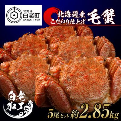 ふるさと納税 白老町 毛蟹 ボイル済み 冷凍 5尾セット 約2.85kg BM046