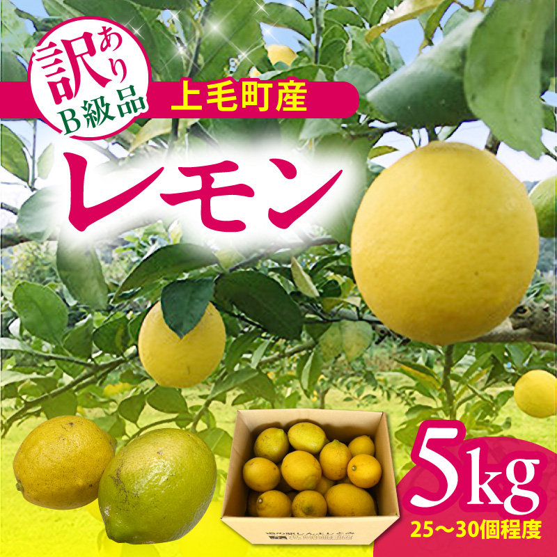 上毛町産レモン 訳ありB級品 5kg K06406