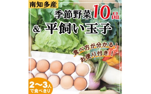 
旬の季節野菜セット(10～12品目)&平飼い玉子10個【1373809】
