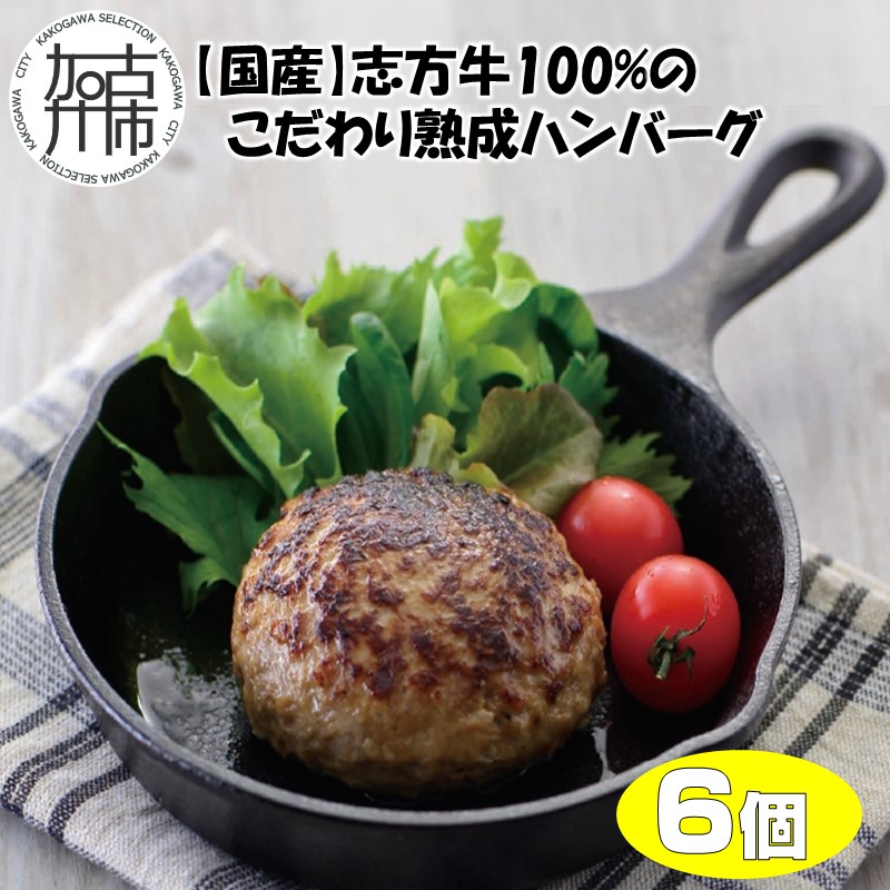 【国産】志方牛100%のこだわり熟成ハンバーグ150g×6個【2401I05941】