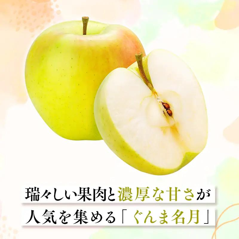 りんご 家庭用 ぐんま名月 約2kg【hi-0068-022】