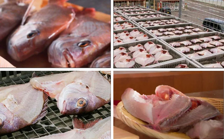 ＼お楽しみ／ 鳴門の旬の天然魚を使った干物セット　鳴門海峡　天然魚　旬の魚　敬老の日　お歳暮　ギフト　干物　