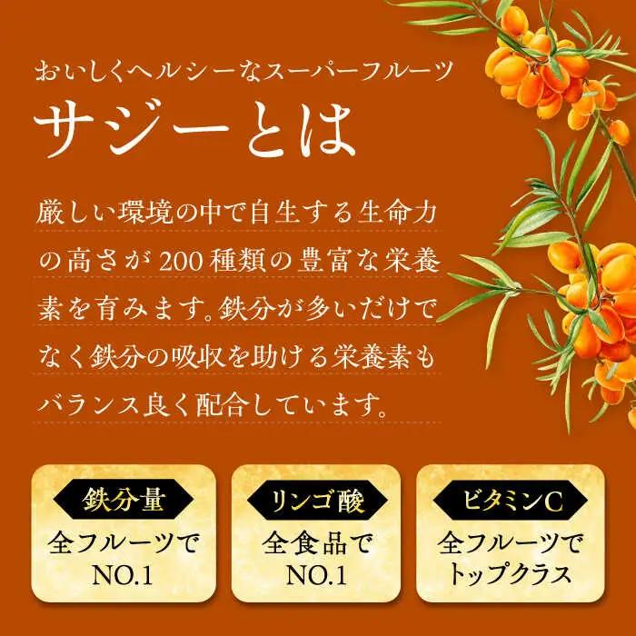 【全2回定期便】すっきり美味しいサジー 2本 [VAX035] サジージュース