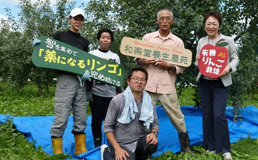 ≪先行予約≫ 有機JAS認証 りんご シナノゴールド 約3kg 【和楽堂りんご養生農苑】 青森りんご リンゴ 林檎 アップル 果物 くだもの フルーツ オーガニック 無農薬 おすすめ あおもり 青森県 三戸 南部町 F21U-322