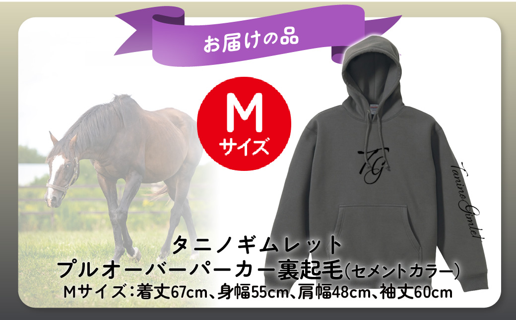 【破壊神タニノギムレット】(セメントカラー）プルオーバーパーカー裏起毛　【М】 BRTV105-2_イメージ4