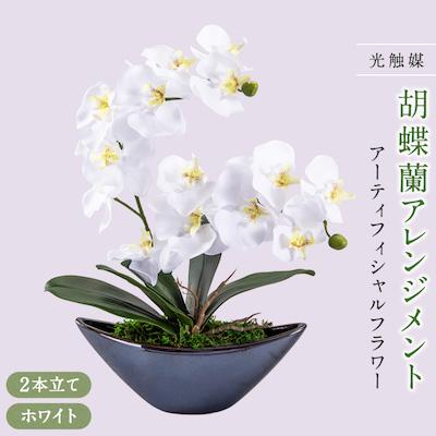 ふるさと納税 大野城市 アーティフィシャルフラワー胡蝶蘭アレンジメント光触媒 (ホワイト)