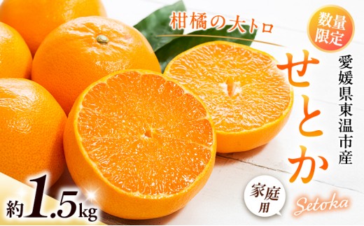 
                  せとか 約1.5kg ご家庭用 サイズお任せ 今が旬 農園直送 みかん 人気 数量限定 先行予約 柑橘 蜜柑 ミカン 愛媛みかん かんきつ 国産 愛媛県
                