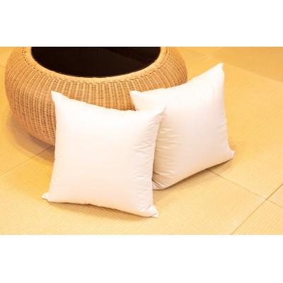 ふるさと納税 北杜市 ホテル仕様の羽毛クッション<45cm×45cm>2個セット　ホワイトダックダウン50%