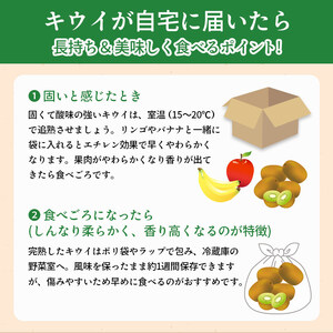 先行予約 キウイフルーツ 香緑 約750g キウイ
