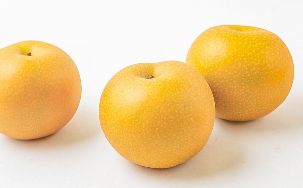 【先行予約】 梨の山茂梨園 あきづき梨 5玉から7玉（約2.5kg）【2026年9月上旬～下旬発送予定】 梨 なし ナシ 果物 くだもの フルーツ 果実 果汁 5玉 7玉 あきづき