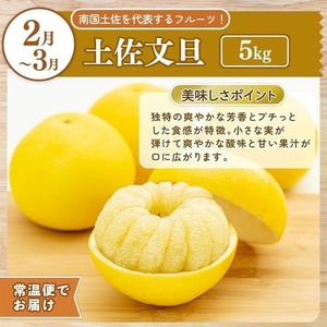 【定期便2回】土佐文旦 小夏 の柑橘フルーツ