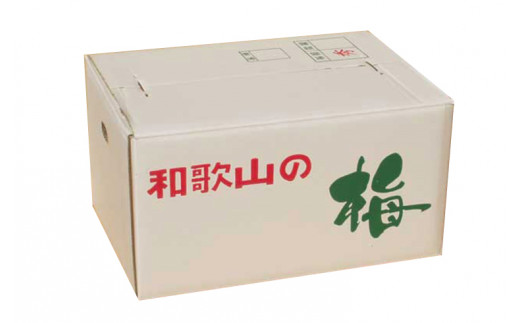 【梅干・梅酒用】（3Lまたは2L－10Kg）熟南高梅＜2025年6月上旬～7月上旬ごろに順次発送予定＞【art009A】_イメージ4