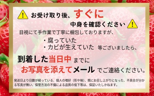 もういっこ いちご 銚子産 大粒 苺 イチゴ 【2027年1月下旬～4月下旬頃発送】 先行予約 農園直送 直売所 直送 もういっこ 食べたくなる おいしさ 希少 希少種 甘い 高糖度 旬 酸味 食べやすい フルーツ 果物 デザート ジャム SNS映え 通販 贈答用 家庭用 ギフト 10,000 10000円 一万円 ふるさと納税 ふるさと納税いちご ふるさと納税フルーツ 千葉県銚子市 岩瀬農園