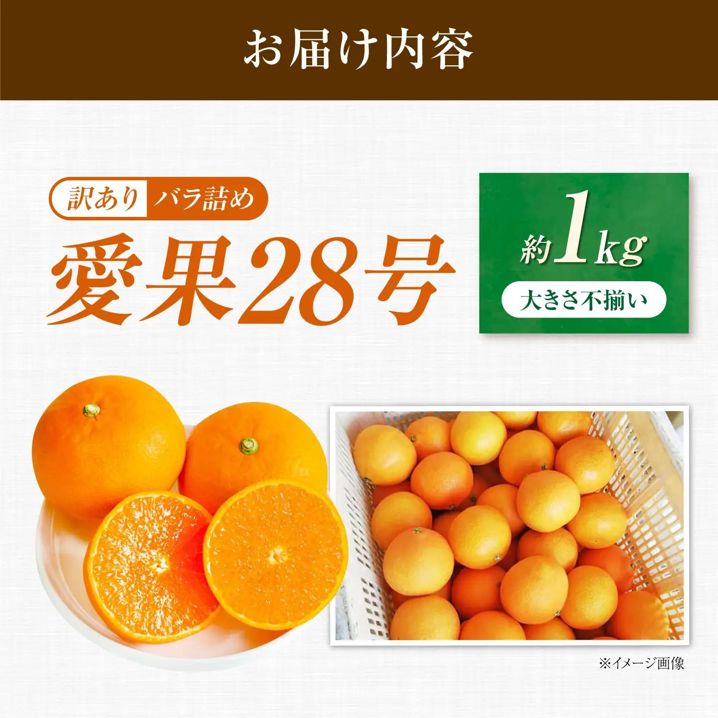 みかん 訳あり 愛果28号 約1kg【12月上旬から2月下旬まで順次発送】 / フルーツ 果物 蜜柑 ミカン オレンジ 訳あり 訳アリ 小玉 甘い 先行予約 約1kg 愛媛 / 愛媛県砥部町/西岡さん