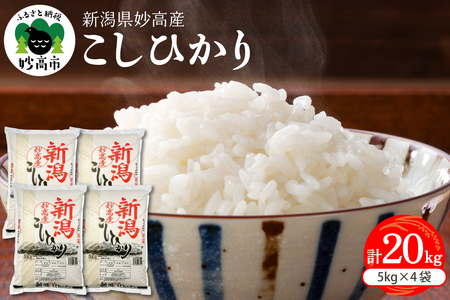 【2026年5月上旬発送】新潟県妙高産コシヒカリ 20kg こしひかり 米どころ 精米 白米 コメ お米 ご飯 おにぎり 弁当 便利 大人気 甘み 粘り 逸品 希少価値 ブランド米