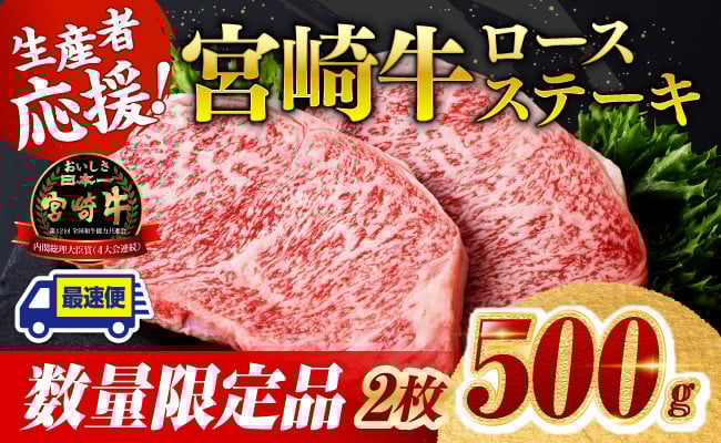 
            ※発送時期が選べる※ 生産者応援！宮崎牛ロースステーキ2枚　計500g 【 肉 牛肉 宮崎県産 黒毛和牛 】
          