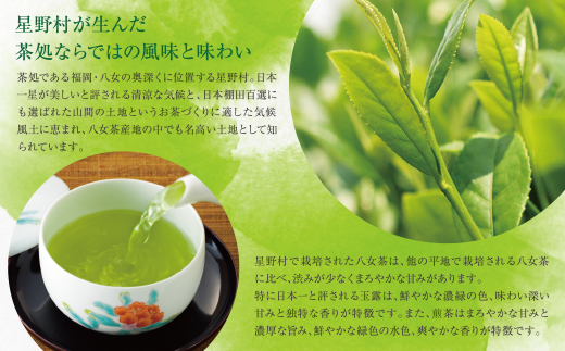 八女星野 上級茶詰合せ(計200g)