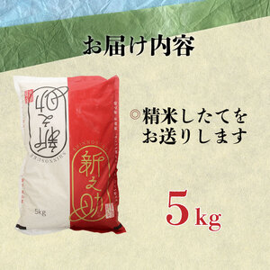 令和6年産 新之助 5kg 【 新潟 新潟県 米 5kg 新之助 新米 おいしい ご飯 ごはん 白米 精米 新発田産 】