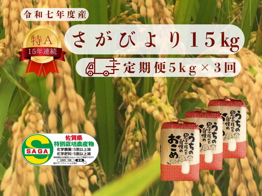 
            【定期便】 さがびより　お米15kg（５kg×3回）
          