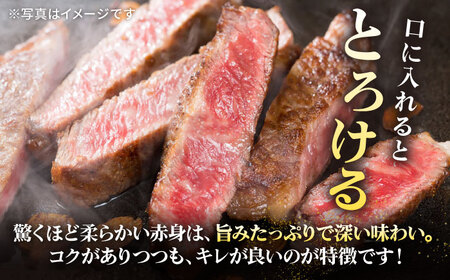 【全3回定期便】 特選 壱岐牛 サーロインステーキ 約200g×3枚[JDL067] 黒毛和牛