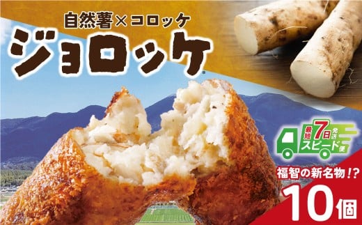 U19-09 【自然薯×コロッケ】ジョロッケ 10個セット じねんじょ 山芋 野菜 グルメ 取り寄せ ご当地 特産 産地 直送人気 オススメ 惣菜 【上野焼チャンス】