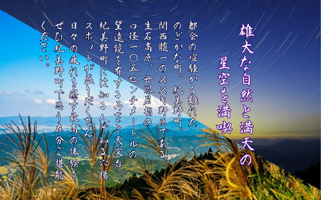 宿泊 宿 民泊 和歌山 紀美野町 / 『北峯山?庵』1名～3名様ご宿泊招待券【tmi001】