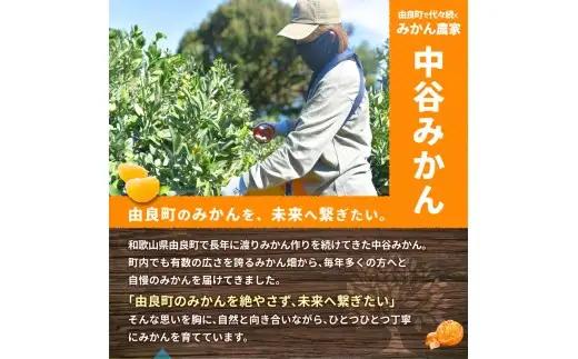 温州みかん 10kg 2S～2Lサイズ混合 12月発送 /  温州 みかん 和歌山 由良  甘い フルーツ 人気 正月 農家直送 ※2026年12月上旬頃～12月下旬頃に順次発送予定【nktn004-