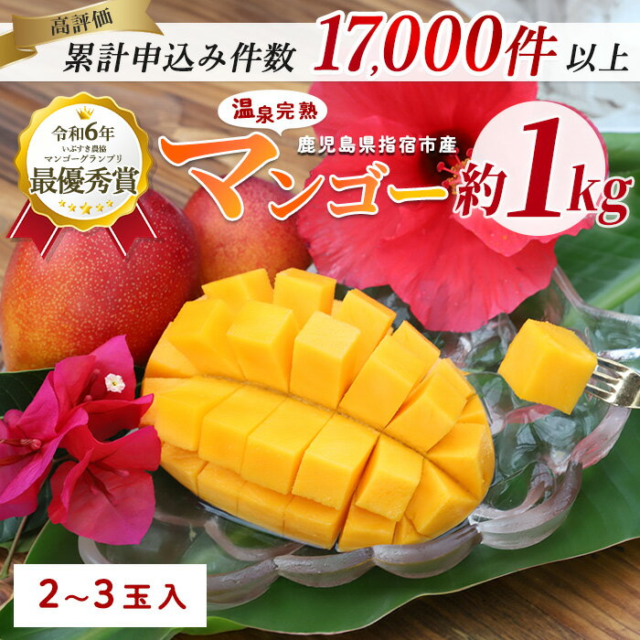 【ふるさと納税】＜訳あり・期間限定＞温泉完熟マンゴー(約1kg・2〜3玉) 果物 フルーツ 完熟 スムージー ジュース 夏 旬 南国 家庭用 自宅用 鹿児島 いぶすき【トロピカルフルーツ＆プランツ】