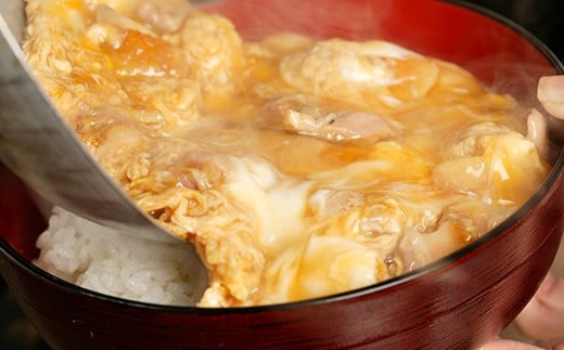 55P2825 比内地鶏親子丼の素