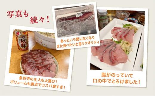 KU281<2025年10月発送分>活じめ!黒瀬ぶりの生鮮ブリロイン2節(1.0kg前後)