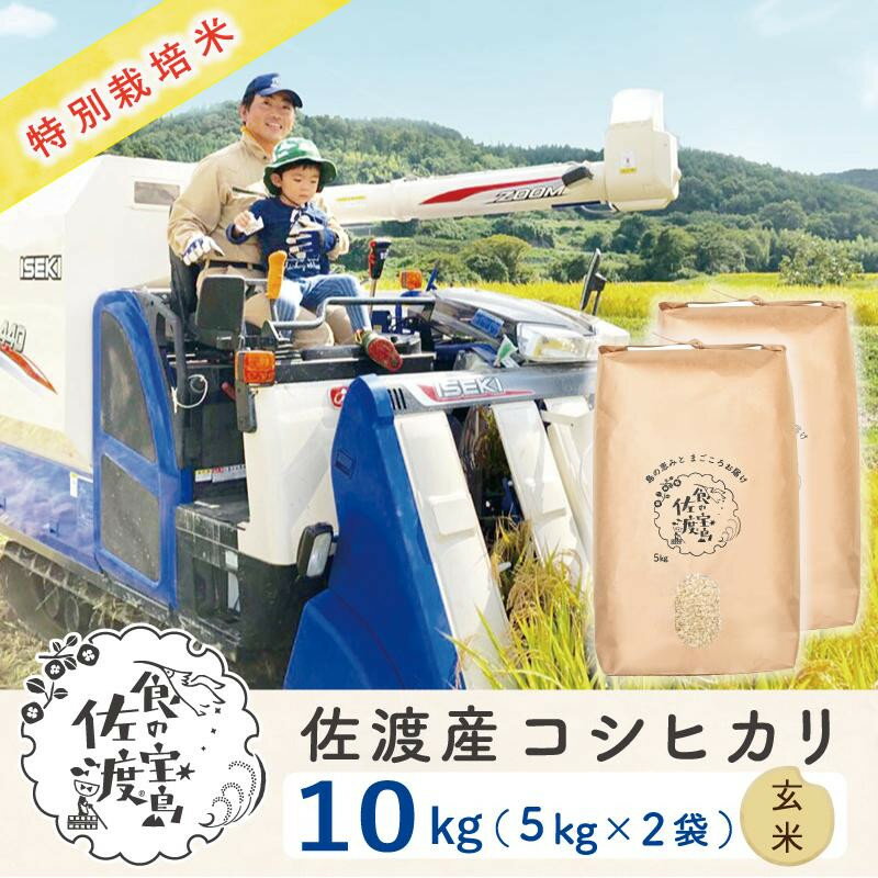 【ふるさと納税】佐渡島産コシヒカリ 玄米10kg（5kg×2袋） 特別栽培米 農家直送 | お米 こめ 白米 食品 人気 おすすめ 送料無料