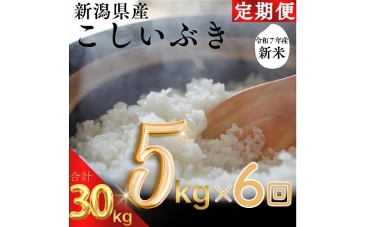 令和7年度産　上越市産こしいぶき　5kg×6回定期便　新米　精米　新潟　米　新潟県　こしいぶき　限定　定期便　おすすめ