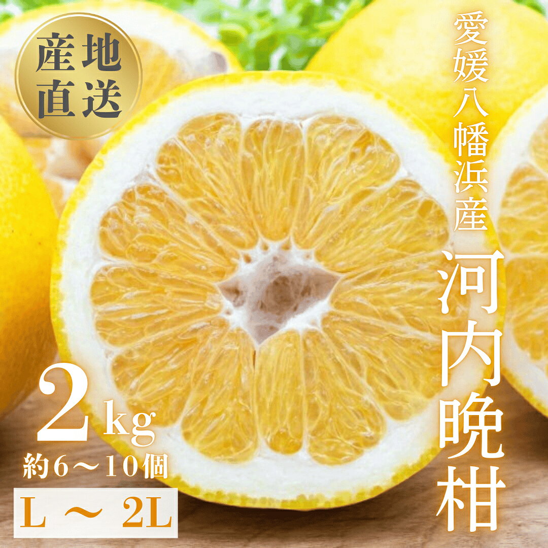 【ふるさと納税】【先行受付】《果汁たっぷりジューシー》産地直送 愛媛八幡浜産 河内晩柑2kg【C20-90】_【1625429】 YWTI085