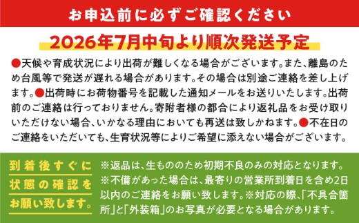 【2026年先行予約】ファーム白川の完熟マンゴー 訳あり2kg　C032-001