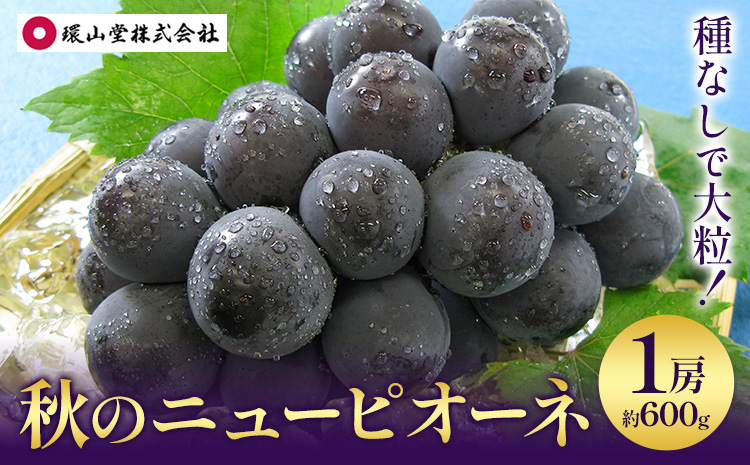 【2026年先行予約】秋の ニューピオーネ 1房 約600g 環山堂株式会社《2026年8月下旬-9月下旬頃出荷》岡山県 浅口市 ぶどう 葡萄 ピオーネ フルーツ 果物 送料無料