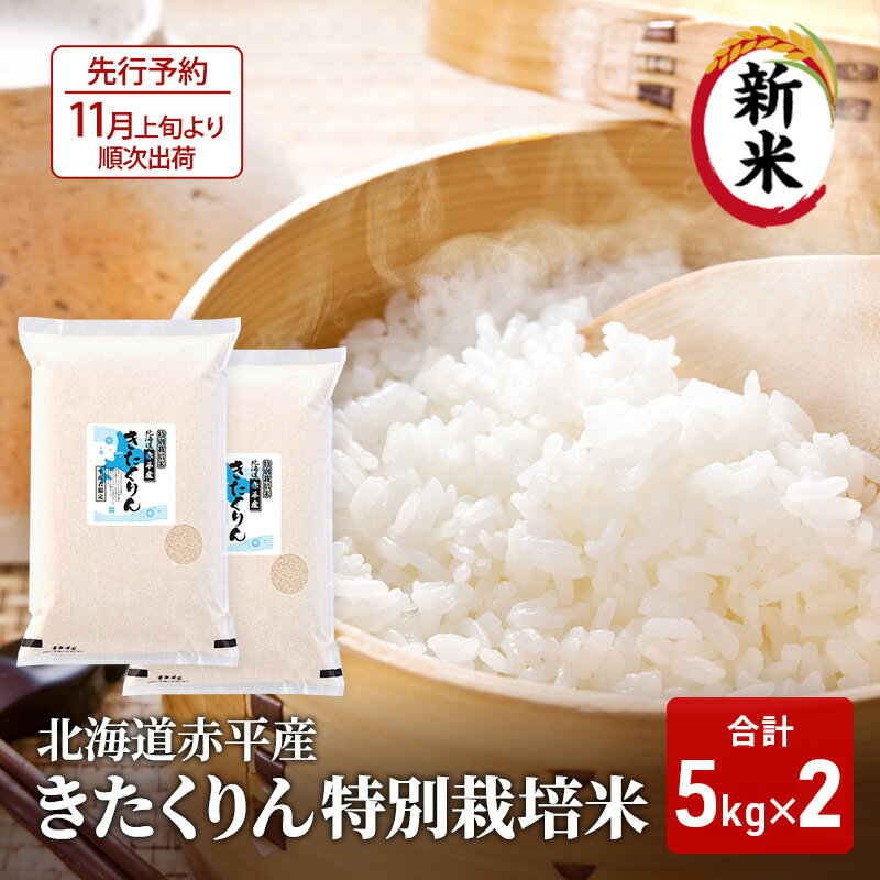 【ふるさと納税】北海道赤平産 きたくりん 10kg (5kg×2袋) 特別栽培米 米 北海道 お米 　お届け：2025年11月上旬より順次出荷