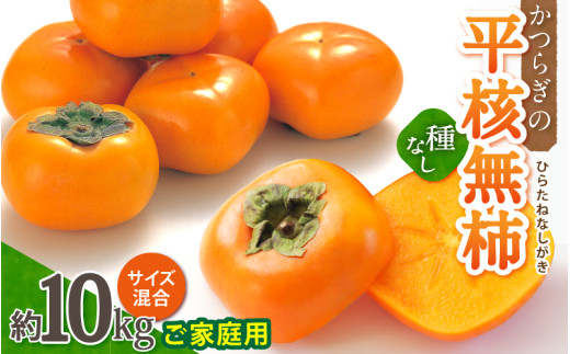 【訳あり・ご家庭用】和歌山県産 平核無柿 約10kg【10月上旬から11月上旬頃順次発送】